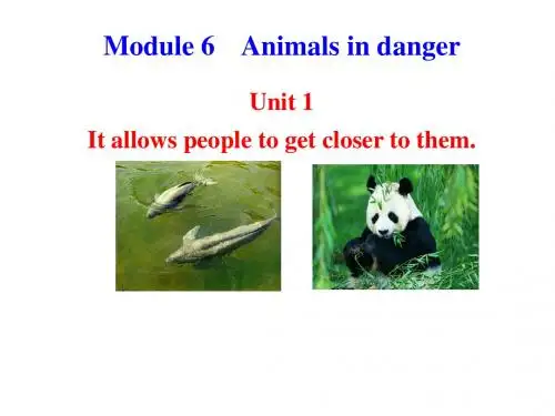 2013版外研版八年级英语上册配套课件：Module 6 Animals in dangerUnit 1
