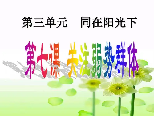 教科版思想品德九年级第七课关注弱势群体