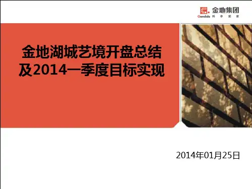 南京_金地湖城艺境_开盘总结及一季度目标实现
