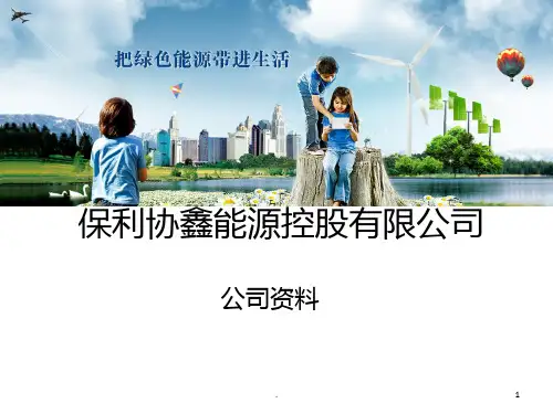 保利协鑫能源控股有限公司资料PPT课件