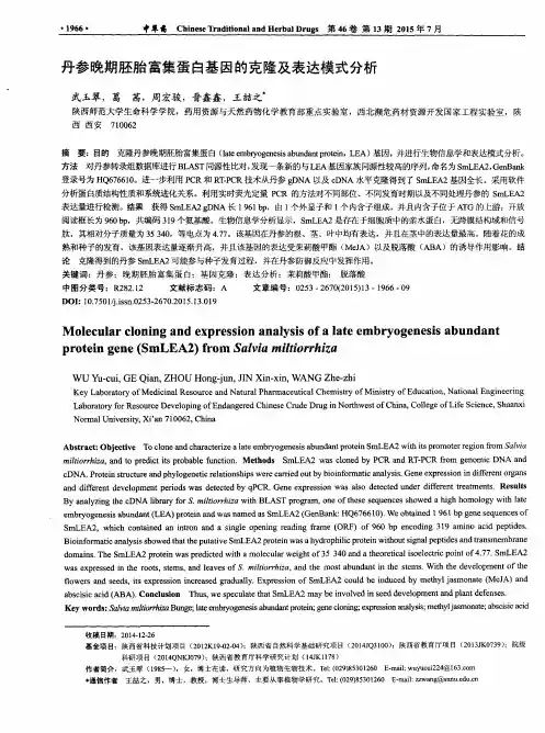 丹参晚期胚胎富集蛋白基因的克隆及表达模式分析
