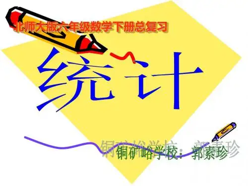北师大六下总复习《统计》