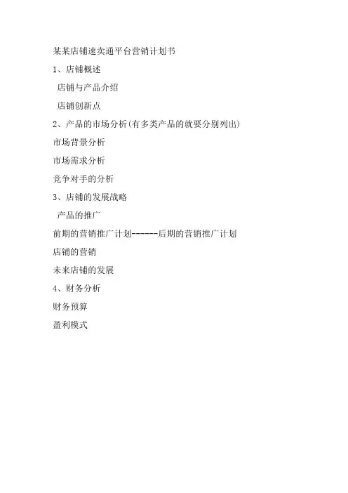 某某店铺速卖通平台营销计划书