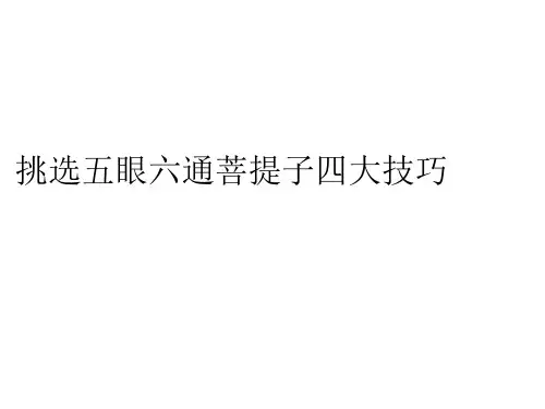 挑选五眼六通菩提子四大技巧