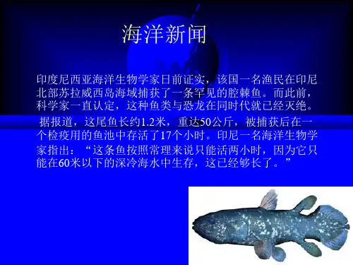 第九章海洋与健康