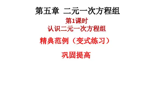【最新】八年级数学上册北师大版课件：5.1 认识二元一次方程组(共17张PPT)