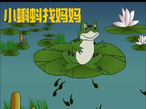 幼儿园大班语言《小蝌蚪找妈妈》课件PPT.