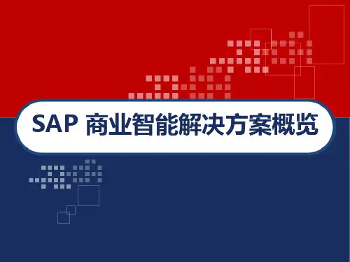 SAP 商业智能解决方案概览 PPT