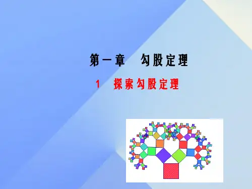 八年级数学上册 1 勾股定理课件 (新版)北师大版