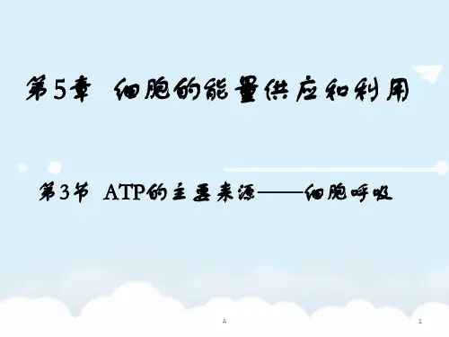 高中生物 5.3 ATP的主要来源-细胞呼吸课件 新人教版必修1