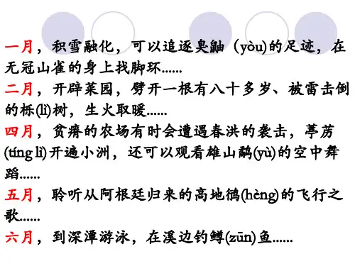 新人教版(部编)八年级语文下册《二单元  阅读  7. 大雁归来》培优课件_20