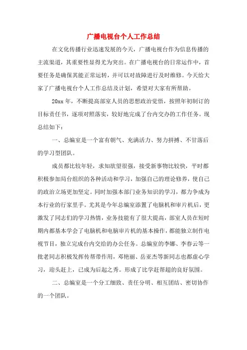 广播电视台个人工作总结