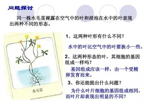4.2基因控制生物的性状