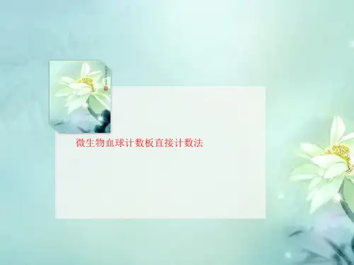微生物血球计数板直接计数法