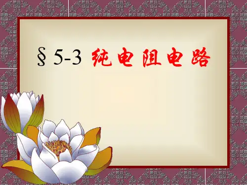 5-3纯电阻电路