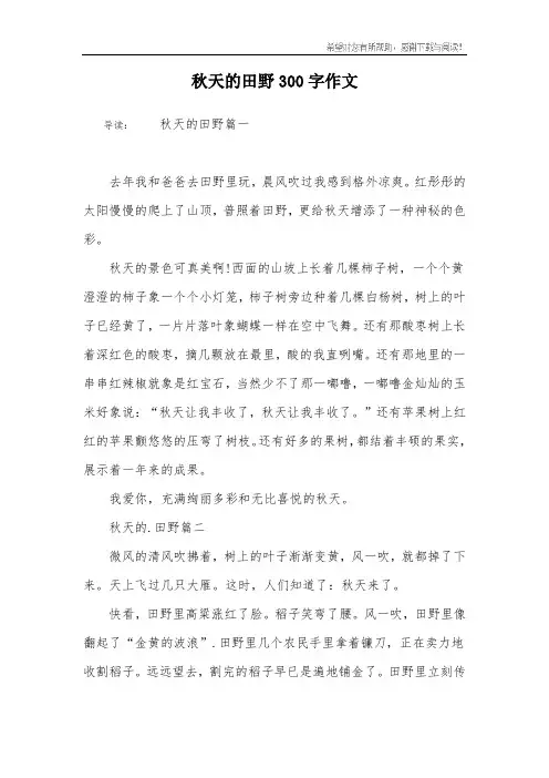 秋天的田野300字作文
