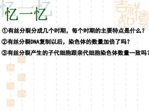 高中生物:减数分裂中的染色体行为课件(新人教必修2)