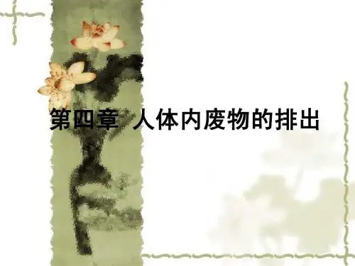 七年级生物第四章 尿的形成课件济南版