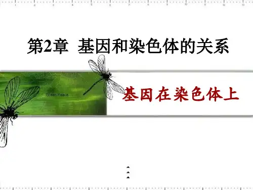生物必修二第二章第二节