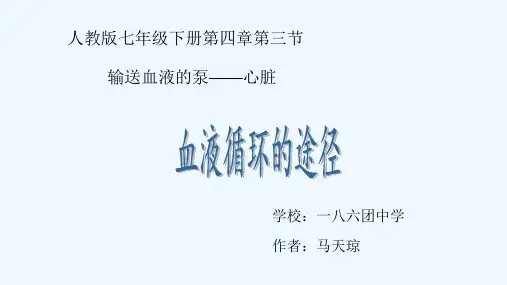 生物人教版七年级下册血液循环的途径