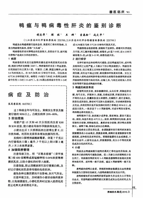 鸭瘟与鸭病毒性肝炎的鉴别诊断