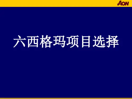 六西格玛项目选择思路—美国怡安