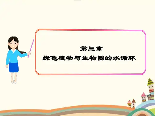 最新部编人教版七年级生物上册《绿色植物与生物圈的水循环》PPT教学课件