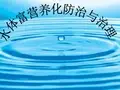 水体富营养化的治理