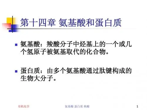 第十四章+氨基酸、蛋白质和核酸