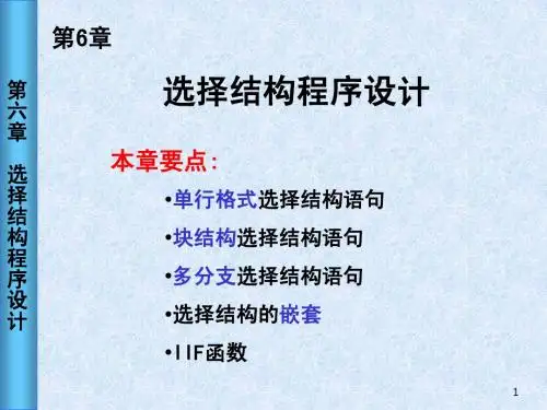 VB程序设计第6章-选择结构