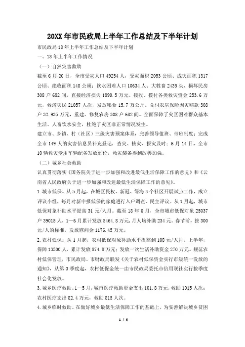 2019年市民政局上半年工作总结及下半年计划