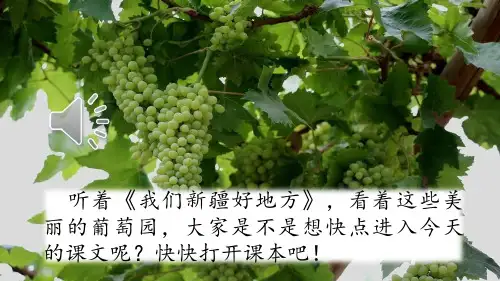 部编版二年级语文上册11 葡萄沟教学课件2篇