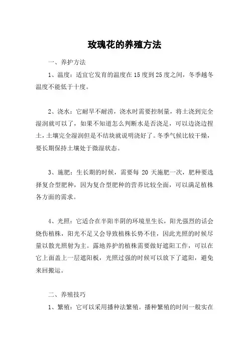 玫瑰花的养殖方法