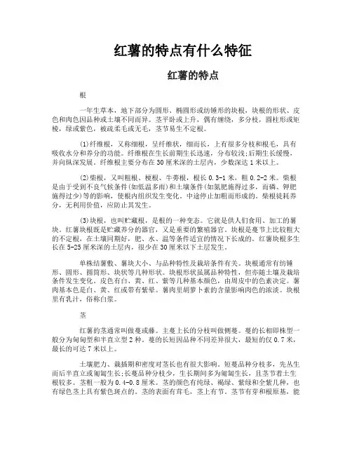 红薯的特点有什么特征