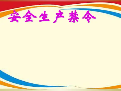 《安全生产禁令》PPT课件