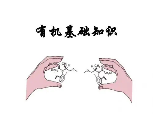 基础知识复习-2