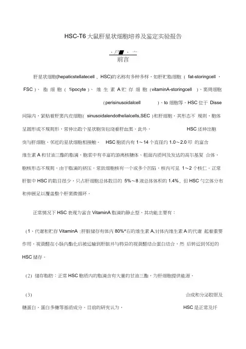 HSCT细胞培养及鉴定实验报告