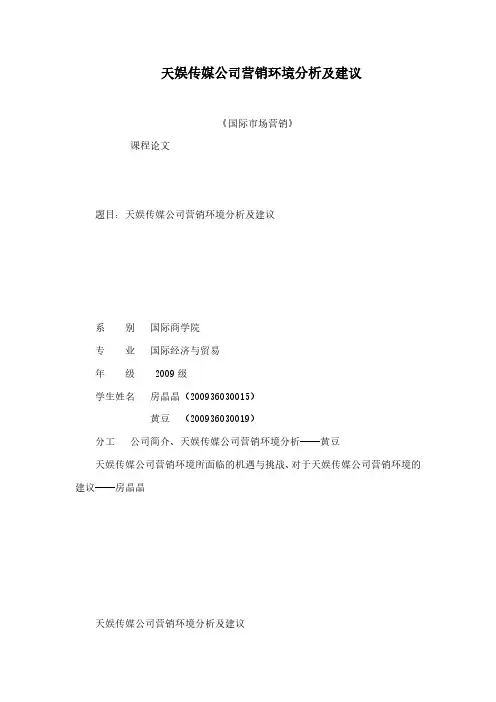 天娱传媒公司营销环境分析及建议