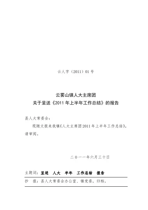人大半年工作总结