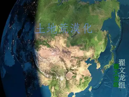 高中地理荒漠化的成因与防治PPT课件