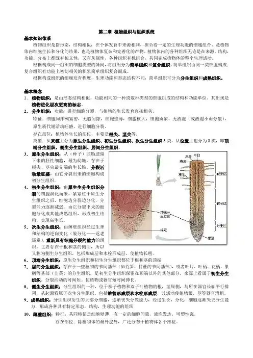 第二章_植物组织与组织系统