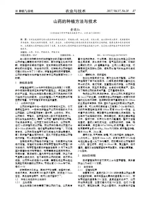 山药的种植方法与技术