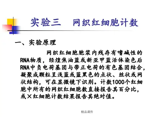 网织红细胞计数