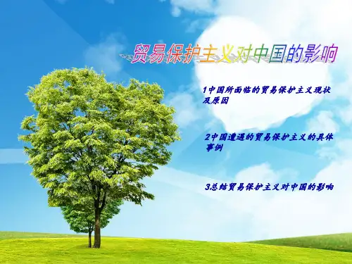 贸易保护主义对中国的影响及措施