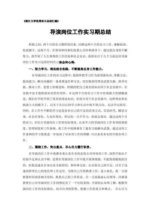 导演专业实习总结范文