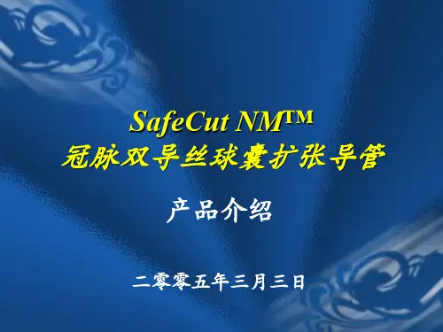 双导丝球囊介绍