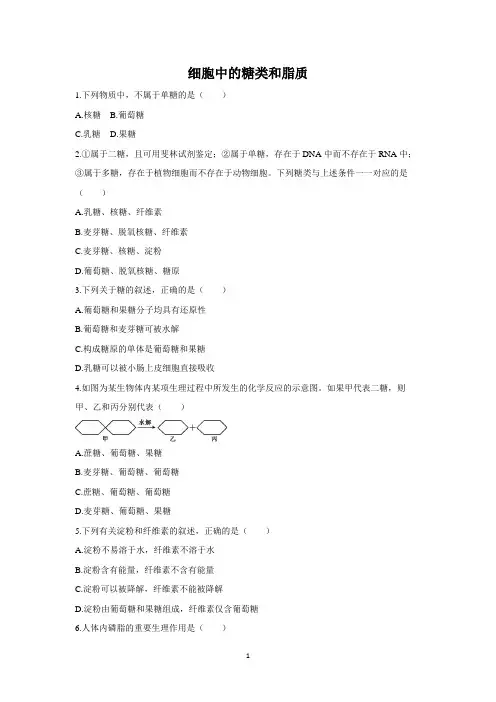 新人教版生物(2019)必修1细胞中的糖类和脂质练习含答案