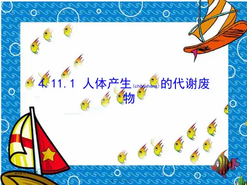 七年级生物下册 11.1《人体产生的代谢废物》
