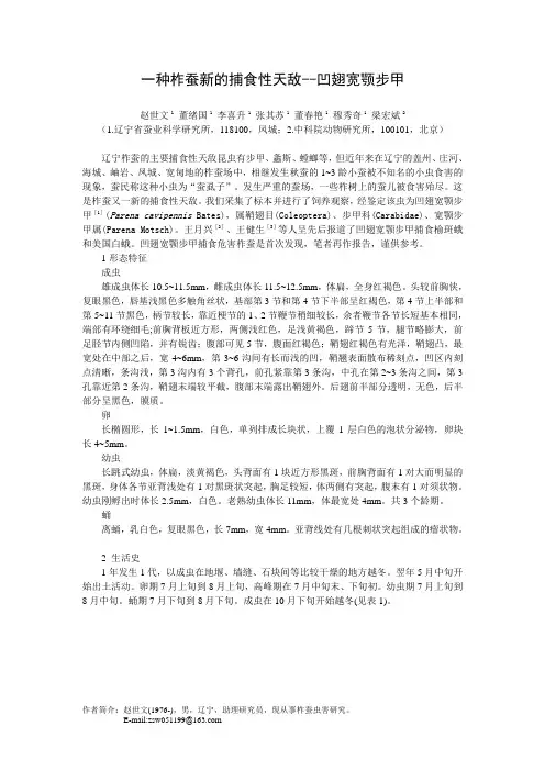 一种柞蚕新的捕食性天敌--凹翅宽颚步甲