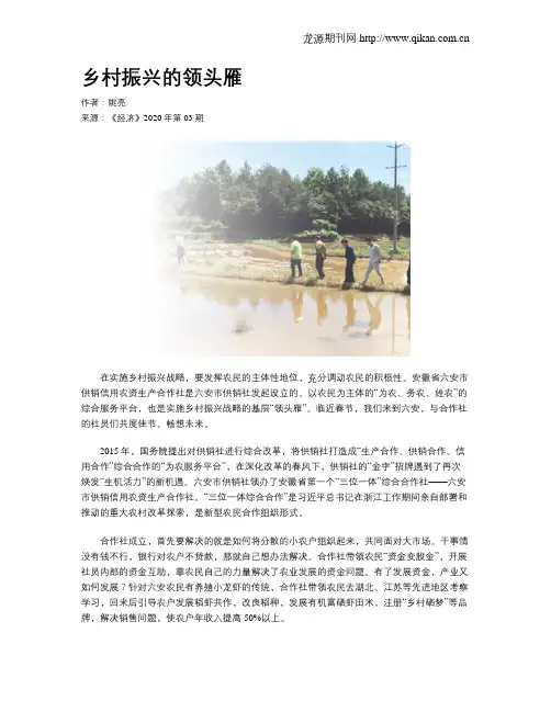 乡村振兴的领头雁